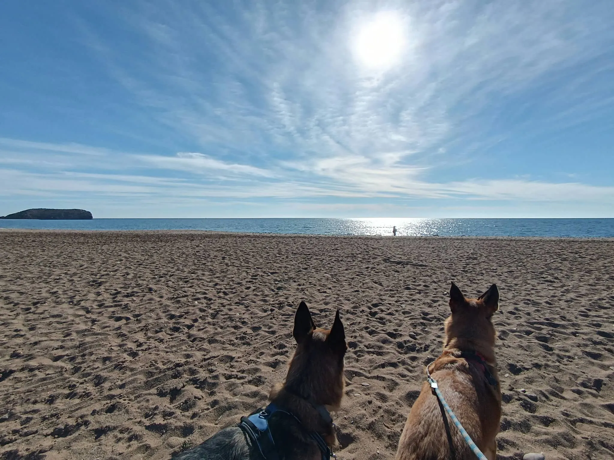 Playa de Las Moreras. Playa Canina (Dog Friendly Beach)